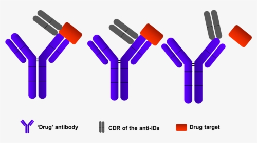 Elisa Assays Development - Anti Antibody, HD Png Download, Free Download