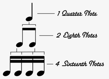 How To Divide A Quarter Note - Quarter Note Eighth Note Sixteenth Note, HD Png Download, Free Download
