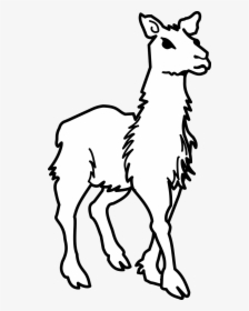 Clipart Of Llama Black And White, HD Png Download, Free Download