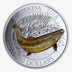 Coin Canada 2016 Canadian Salmonids, HD Png Download, Free Download
