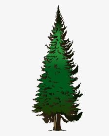 Pine Tree Clip Art - Vector Pine Tree Png, Transparent Png, Free Download