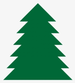 Fir,pine Family,christmas Decoration - Pine Tree Clip Art Png, Transparent Png, Free Download