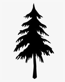 Tree, Silhouette, Fir Tree, Black, Baume, Clouds - Pinhole Effect, HD Png Download, Free Download