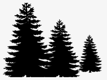 Transparent Fir Tree Clipart - Pine Trees Vector Free, HD Png Download, Free Download