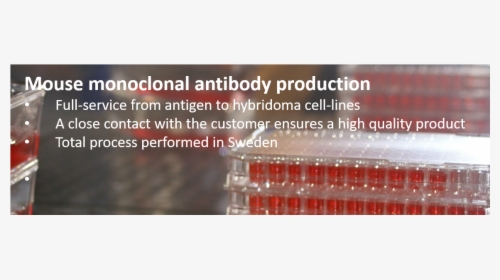 Antibodies Png, Transparent Png, Free Download