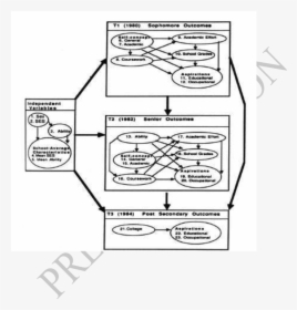 Diagram, HD Png Download, Free Download