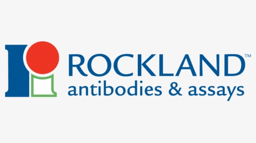 Rockland Antibodies And Assays, HD Png Download, Free Download