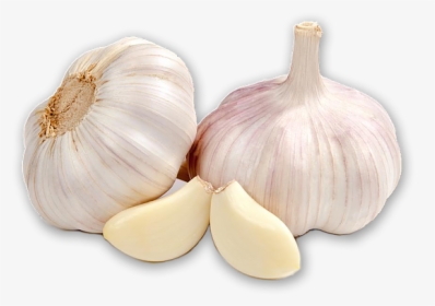 Fresh Garlic Images Png, Transparent Png, Free Download
