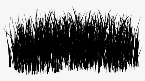 Transparent Black Grass Png - Black And White Grass Png, Png Download, Free Download