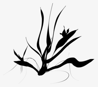 Sea Grass Png Black And White - Underwater Plants Silhouette, Transparent Png, Free Download