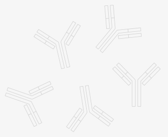 Antibodies Png, Transparent Png, Free Download