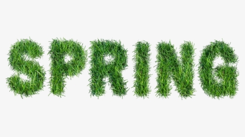 Spring With Grass Text - Spring Text Png, Transparent Png, Free Download