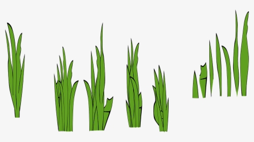 Transparent Rice Clipart Black And White - Grass Clip Art, HD Png Download, Free Download