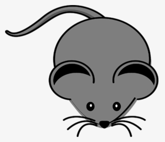 Mouse - Mouse Clipart, HD Png Download, Free Download