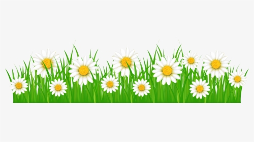 Grass Ground With White Flowers Png Clip Art Image - Grass Clipart With Flowers, Transparent Png, Free Download