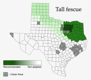 Tall Fescue Areas Of Adaptation - Tall Fescue North Texas, HD Png Download, Free Download