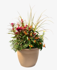 Flowerpot, HD Png Download, Free Download