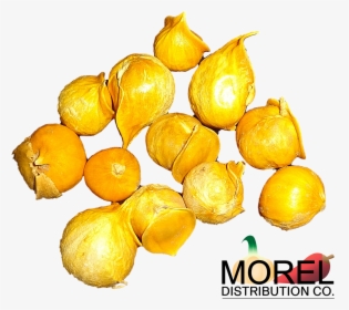 Japanese Garlic//ajo Japones Choose (1600x1393), Png - Natural Foods, Transparent Png, Free Download