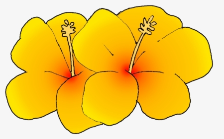Hawaiian Flower Hawaii Clipart Summer Flower Pencil - Clipart Hawaii State Flower, HD Png Download, Free Download