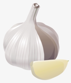 Garlic Veggie Burger Clip Art - Garlic Png Vector, Transparent Png, Free Download