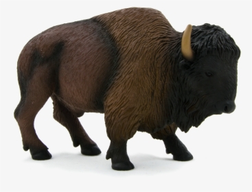 Bison Png - American Buffalo Png, Transparent Png, Free Download
