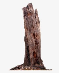 Tree Trunk Dead Tree Png Lubman - Transparent Background Tree Trunk Png, Png Download, Free Download