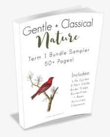Huge Free Gentle Classical Nature Bundle Sampler, HD Png Download, Free Download