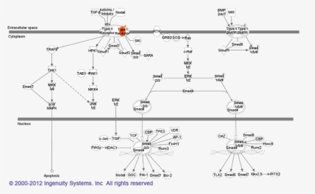 Diagram, HD Png Download, Free Download