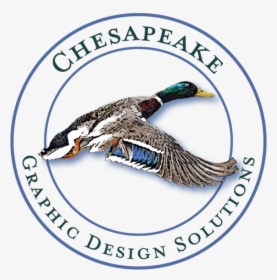 Mallard, HD Png Download, Free Download