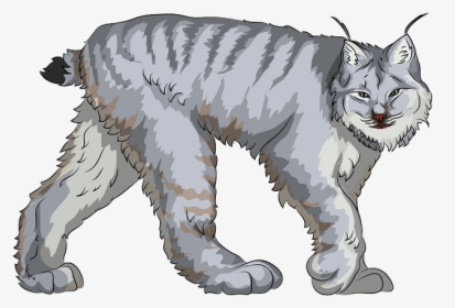 Cat Yawns, HD Png Download, Free Download