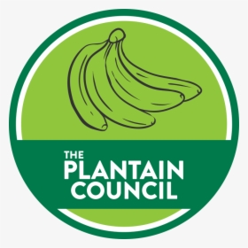 Plantain Council Logo Outlined Edit - Circle, HD Png Download, Free Download
