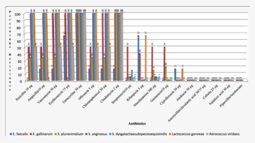 jp morgan balance sheet size