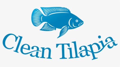 Cleantilapia Website - Bony-fish, HD Png Download, Free Download