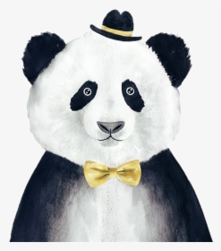 Giant Panda Png, Transparent Png, Free Download