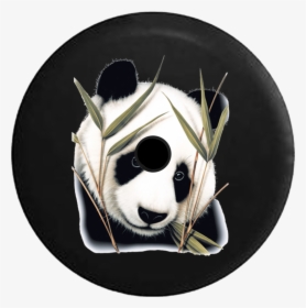 Giant Panda, HD Png Download, Free Download