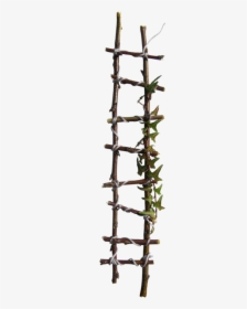#ftestickers #ladder #rope - Tree Branch Ladder, HD Png Download, Free Download