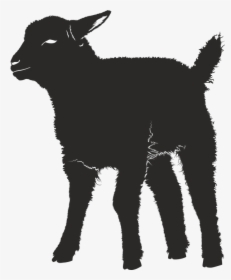 Baby Goat Silhouette, HD Png Download, Free Download