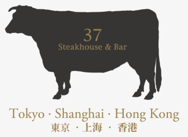 37 Steakhouse & Bar, HD Png Download, Free Download