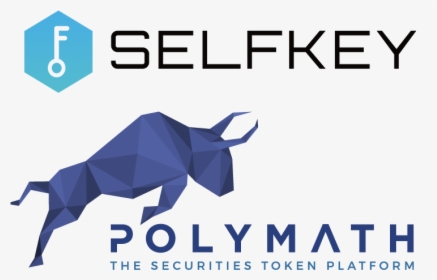 Polymath Network Coin Png, Transparent Png, Free Download