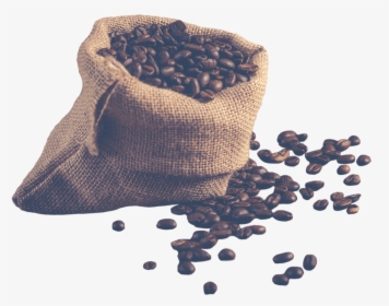 Caffeine Beans - Coffee Bean, HD Png Download, Free Download