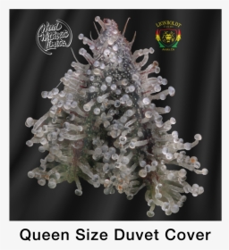 Weed Nug Png - Portable Network Graphics, Transparent Png, Free Download