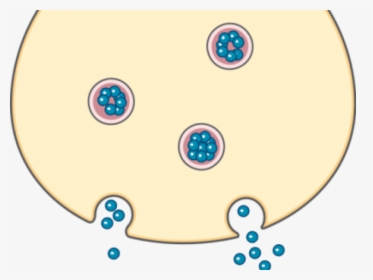 Synapse Clipart System - Circle, HD Png Download, Free Download