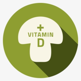 Vitamin D Mushroom - Circle, HD Png Download, Free Download