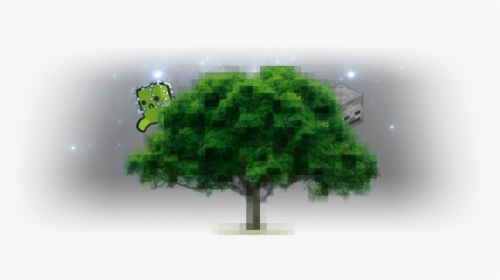 Maple, HD Png Download, Free Download