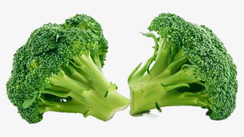 Green Broccoli Png Clipart - Vegetables From The Food Group, Transparent Png, Free Download