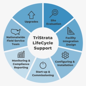 Ts Lifecycle Graphic Opt1 - Circle, HD Png Download, Free Download