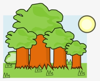 Oak, HD Png Download, Free Download