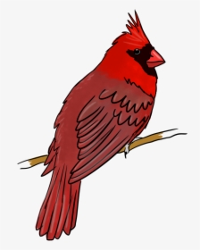 Northern Cardinal, HD Png Download, Free Download