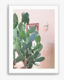 Cactus Png Pastel - Poster, Transparent Png, Free Download