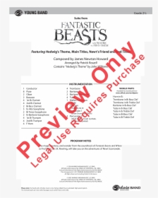 Fantastic Beasts And Where To Find Them Worksheet, HD Png Download, Free Download